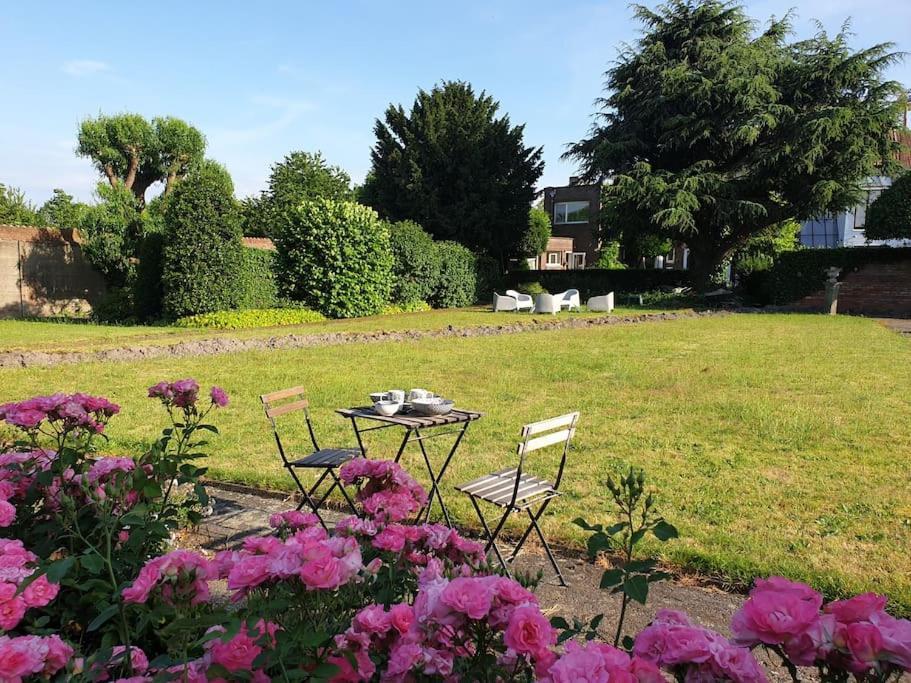 Huyze Lapin Vakantiewoning Brugge Exterior foto